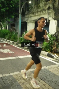 Runner Photo 4204913