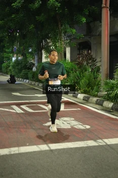 Runner Photo 4205283