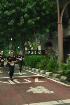 Runner Photo 4205482