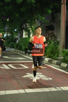 Runner Photo 4206018