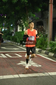 Runner Photo 4206038