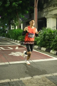 Runner Photo 4206045