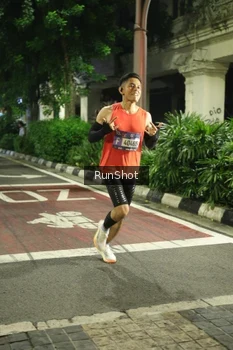 Runner Photo 4206046