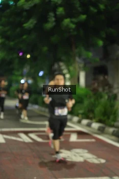 Runner Photo 4206130