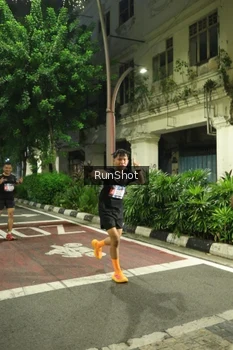 Runner Photo 4207247