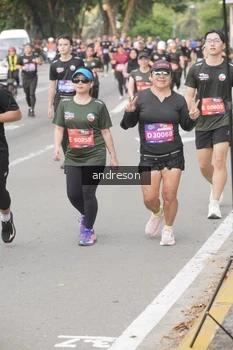Runner Photo 4207829