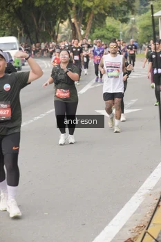 Runner Photo 4207931
