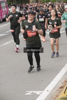 Runner Photo 4208245