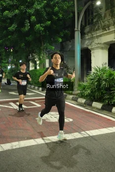 Runner Photo 4208362