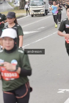 Runner Photo 4208629