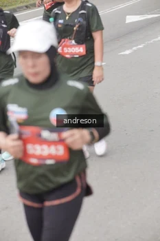 Runner Photo 4208638