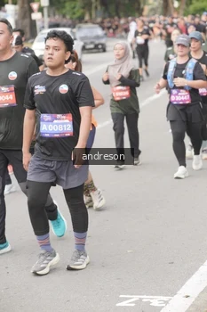Runner Photo 4208794