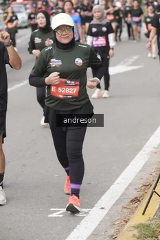 Runner Photo 4209081