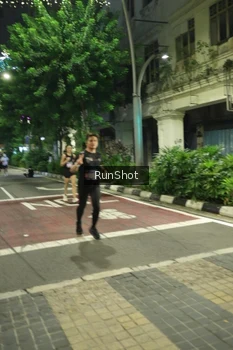 Runner Photo 4209730