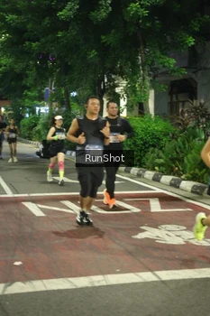 Runner Photo 4209882