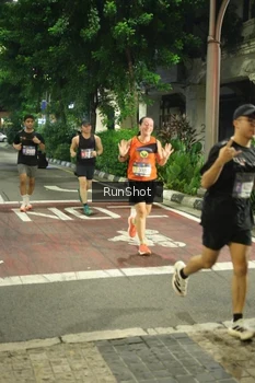 Runner Photo 4209968
