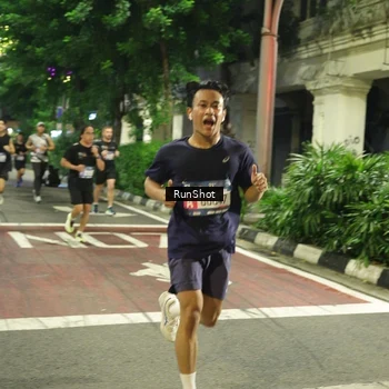 Runner Photo 4210259