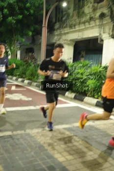 Runner Photo 4210263