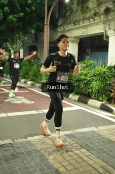 Runner Photo 4211834