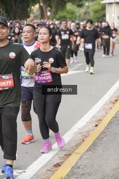 Runner Photo 4231258