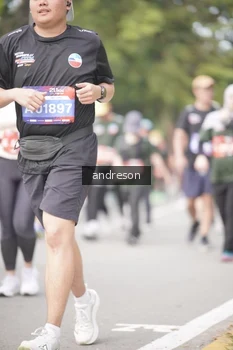 Runner Photo 4232186