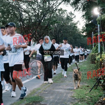 Runner Photo 423553