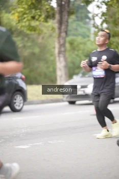 Runner Photo 4236951