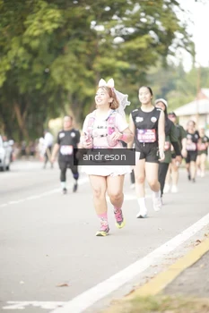 Runner Photo 4239657