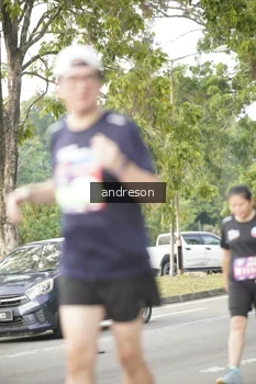 Runner Photo 4241911