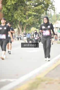 Runner Photo 4242809