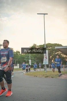 Runner Photo 4244043
