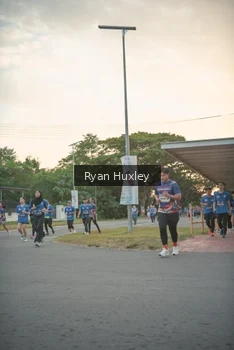 Runner Photo 4244089