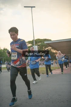 Runner Photo 4244197
