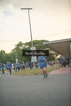 Runner Photo 4244307