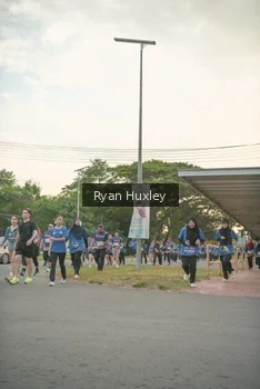 Runner Photo 4244806