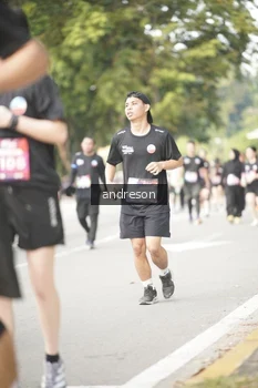 Runner Photo 4245148