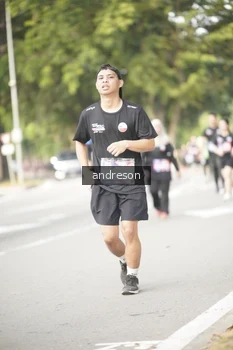 Runner Photo 4245205