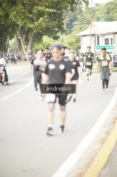 Runner Photo 4246667