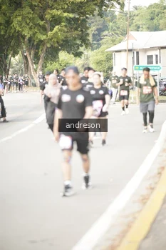 Runner Photo 4246674