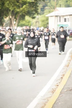 Runner Photo 4246990