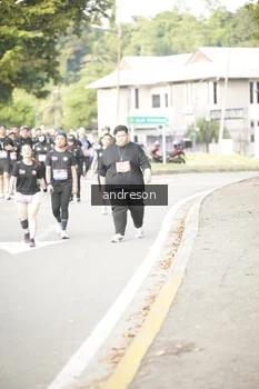 Runner Photo 4247003