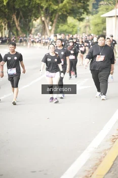 Runner Photo 4247040