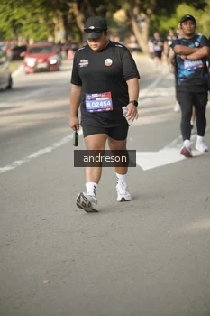 Runner Photo 4248165