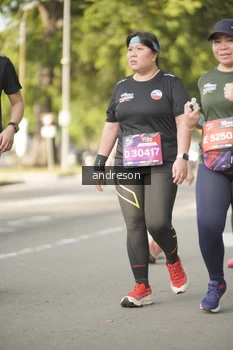 Runner Photo 4248361