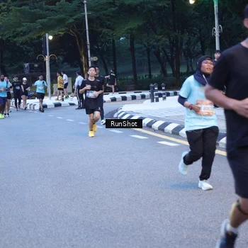 Runner Photo 4248572