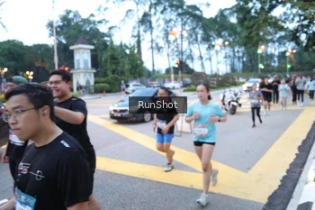 Runner Photo 4249253