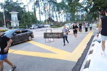 Runner Photo 4249282
