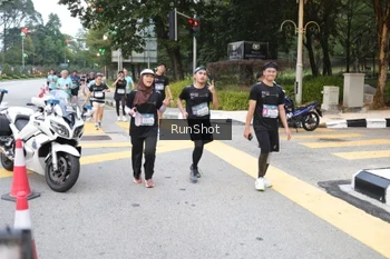 Runner Photo 4251223