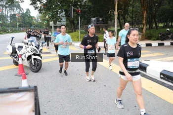Runner Photo 4251286