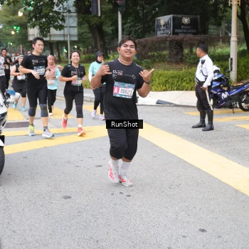 Runner Photo 4251339